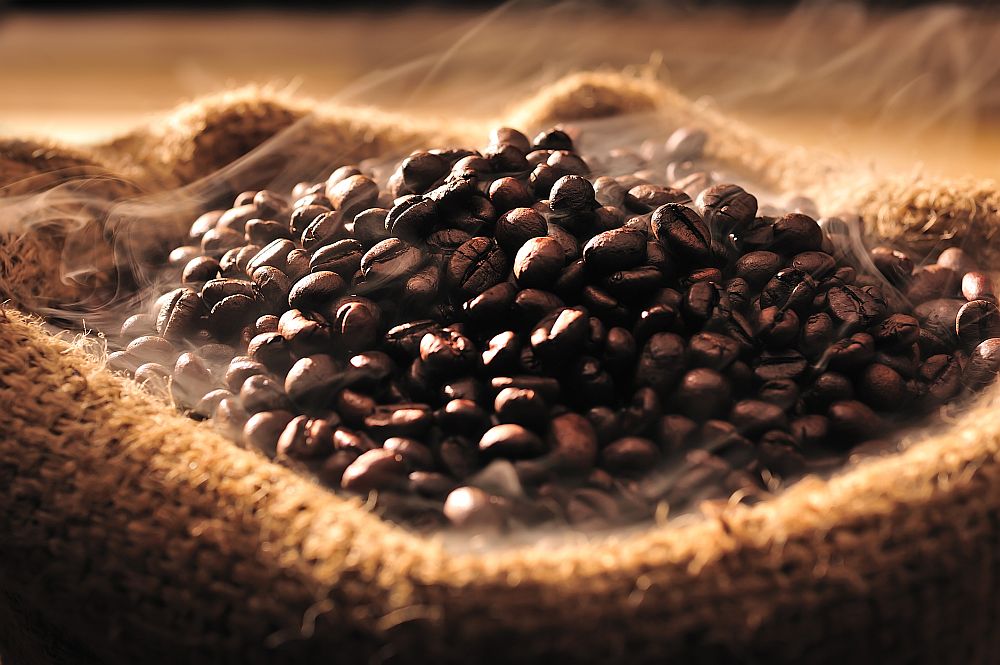 Best coffee beans in the world