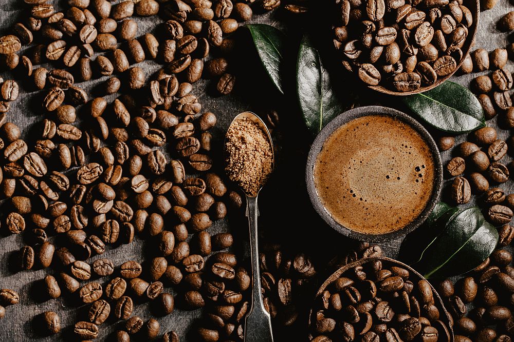 These Are The Best Organic Coffee Beans in 2021 (Reviews)