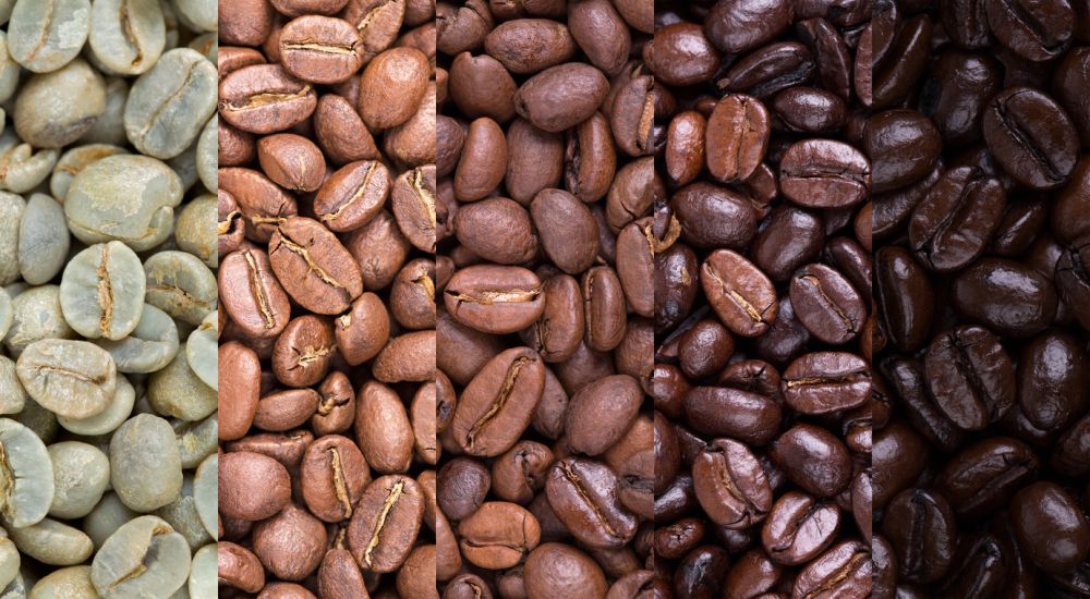 how long do coffee beans last