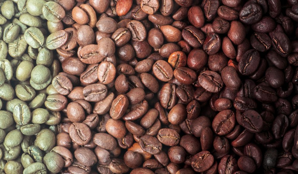 coffee roasting stages