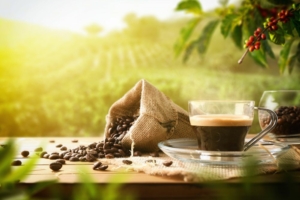 Best Organic Low-Acid Coffee